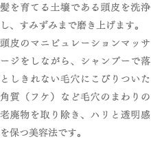 髪を育てる土壌である頭皮を洗浄し、すみずみまで磨き上げます。頭皮のマニピュレーションマッサージをしながら、シャンプーで落としきれない毛穴にこびりついた角質（フケ）など毛穴のまわりの老廃物を取り除き、ハリと透明感を保つ美容法です。